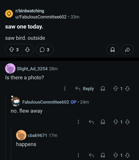 r/birdwatching screenshot - saw one today. saw bird. outside - Is there a photo? - no. flew away - happens